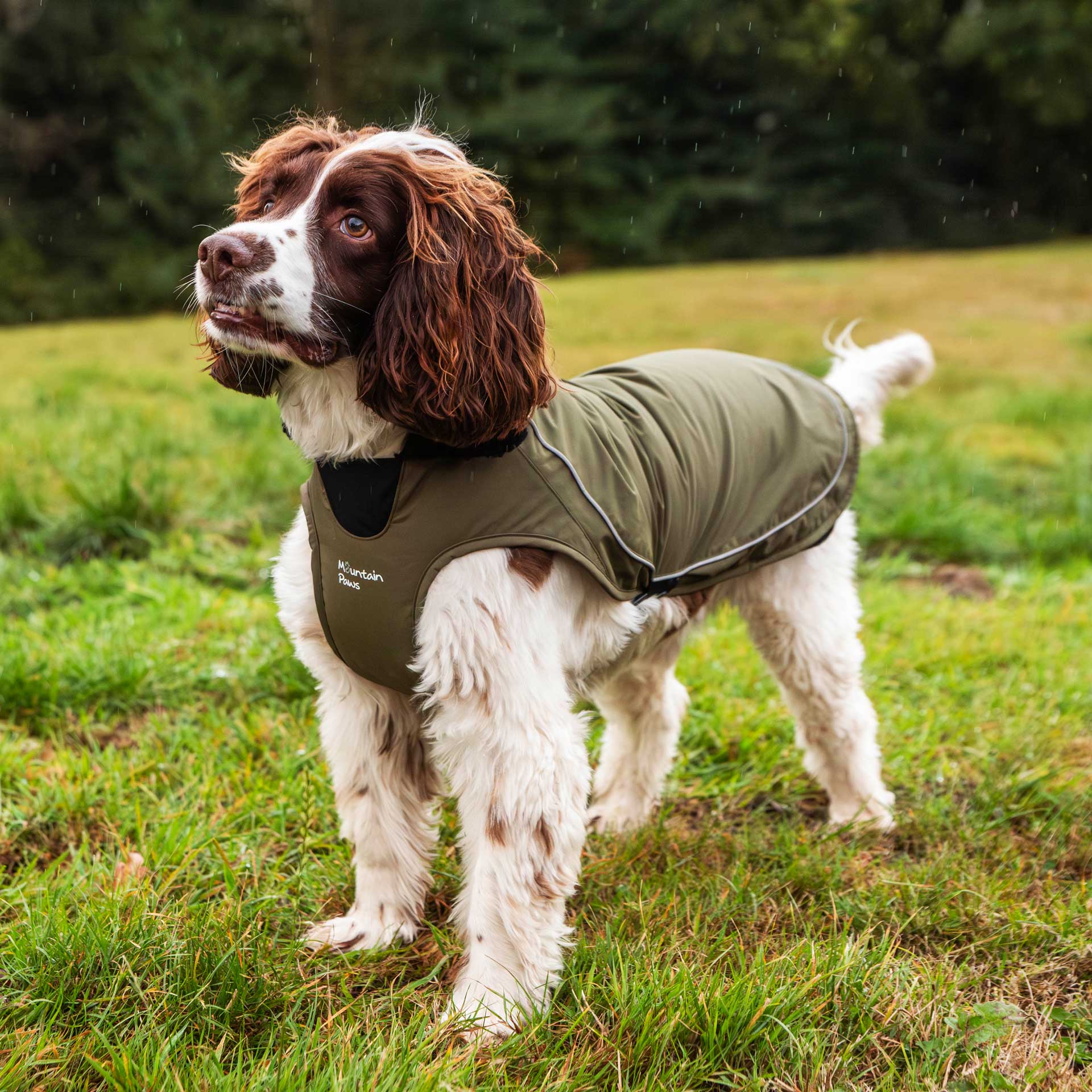 Fleece Lined Dog Coat - variant[Green]