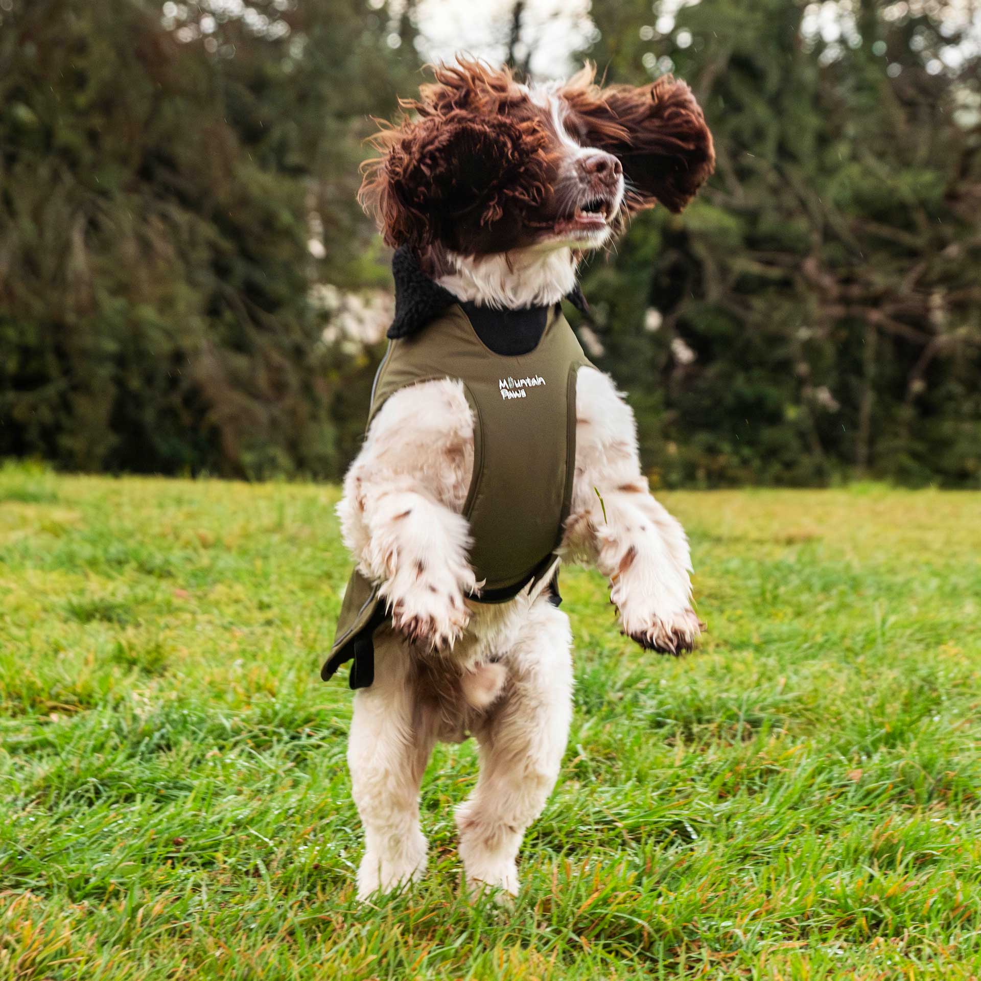 Fleece Lined Dog Coat - variant[Green]