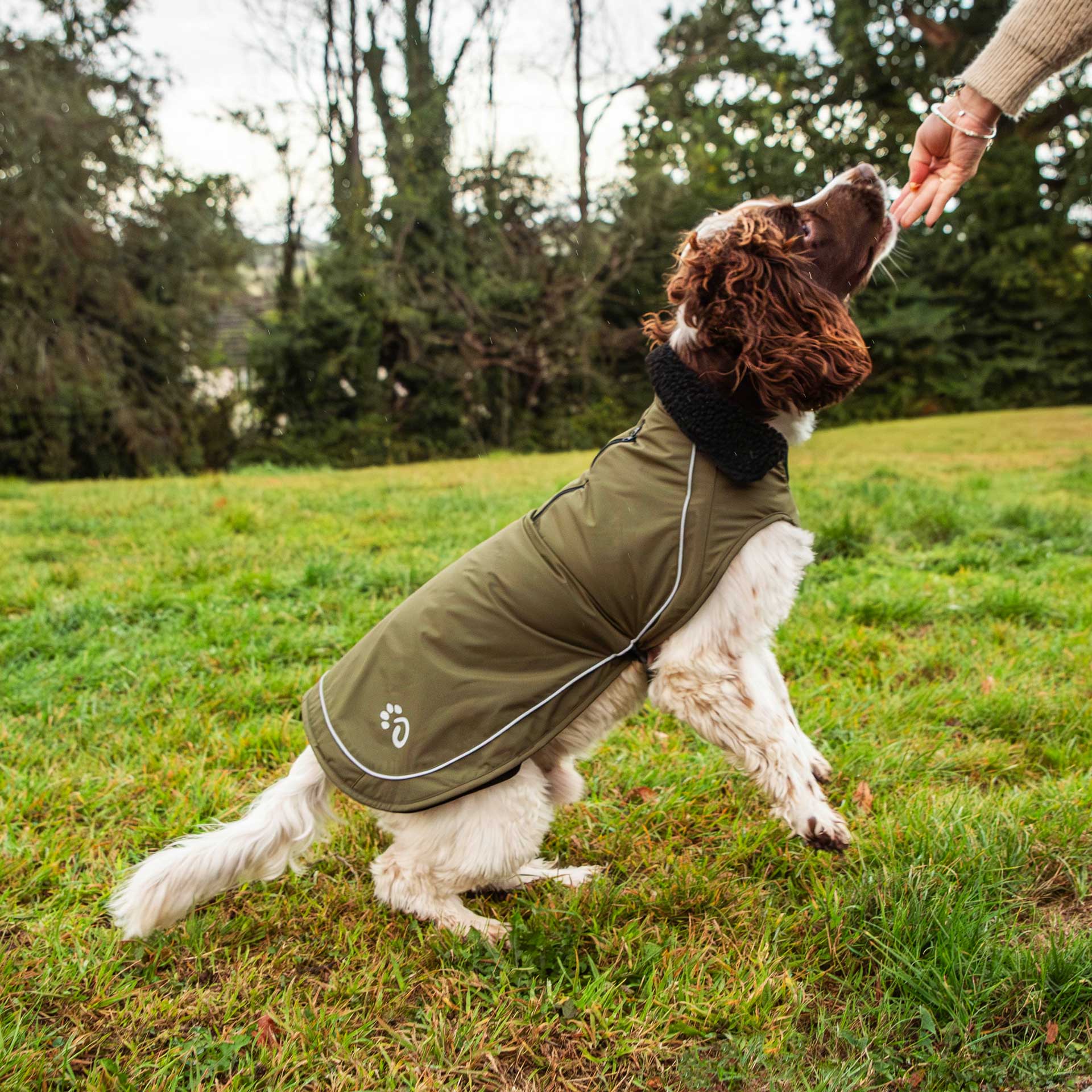 Fleece Lined Dog Coat - variant[Green]