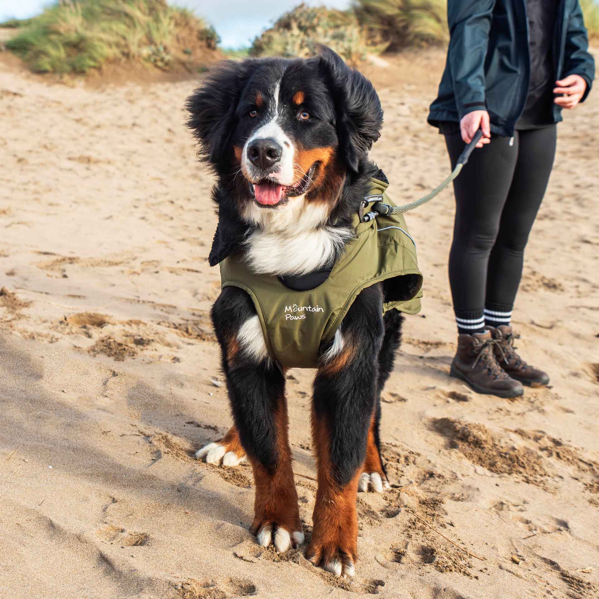 Fleece Lined Dog Coat - variant[Green]