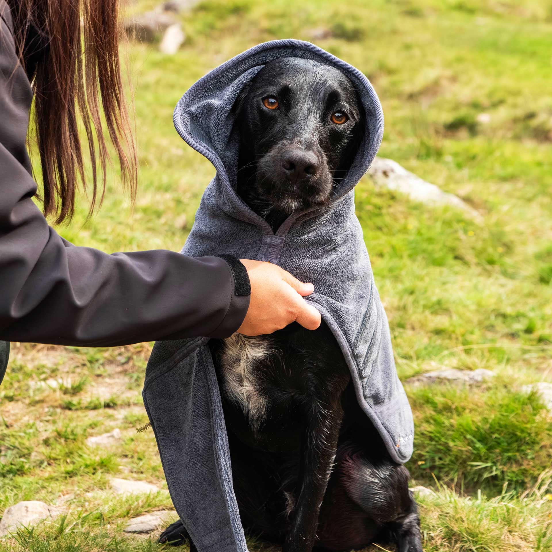 Dog Robe - variant[Grey]