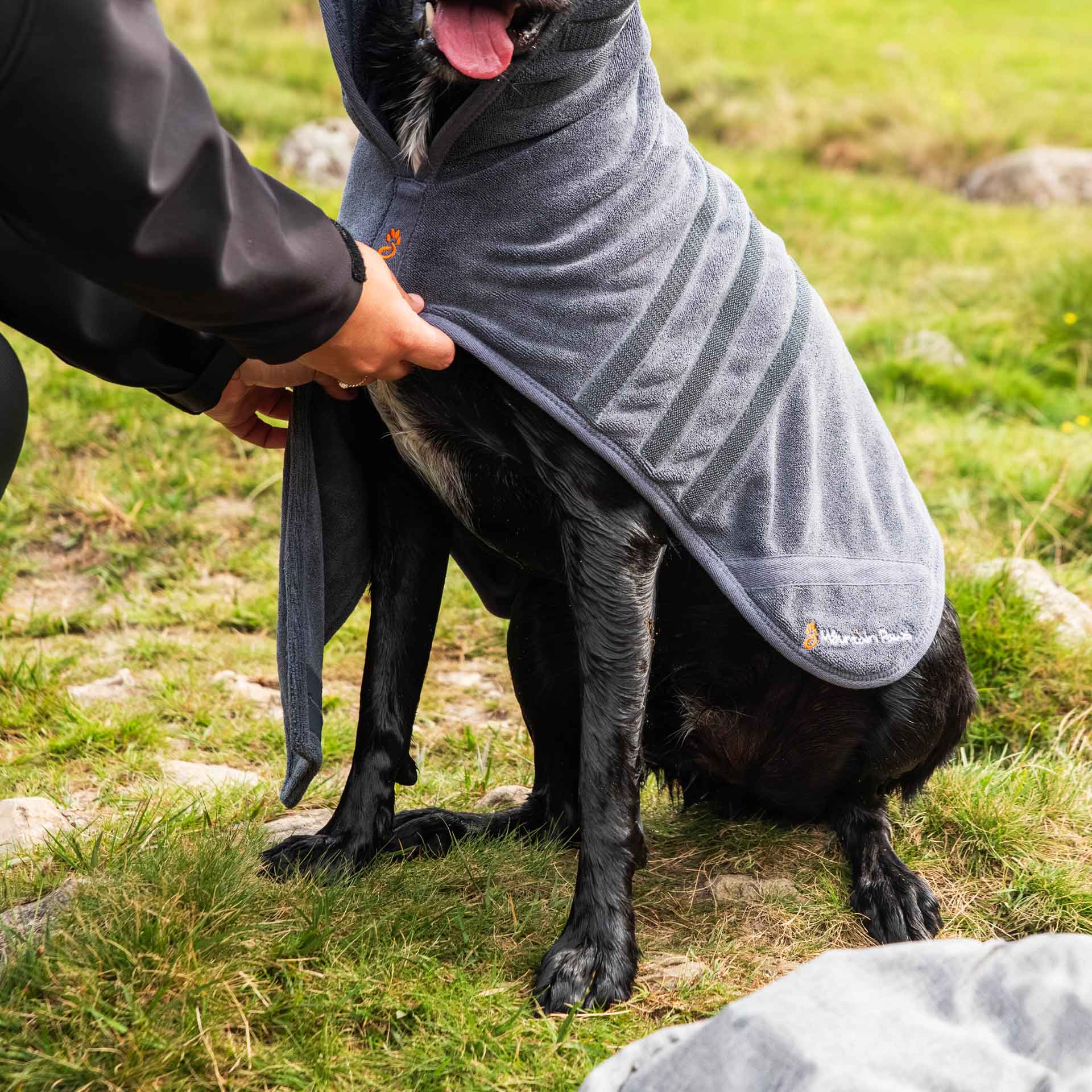 Dog Robe - variant[Grey]