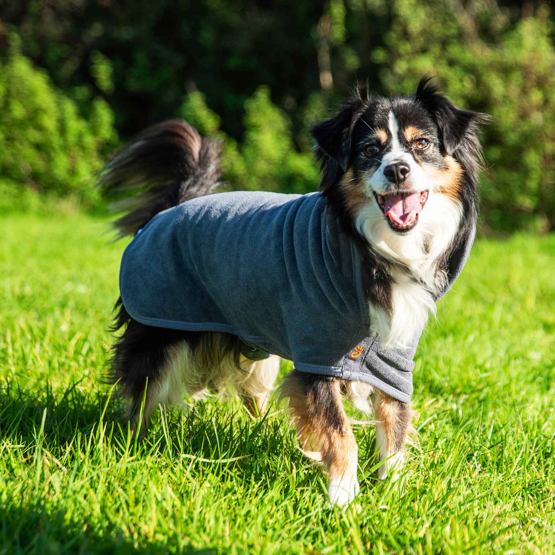 Dog Robe - variant[Grey]