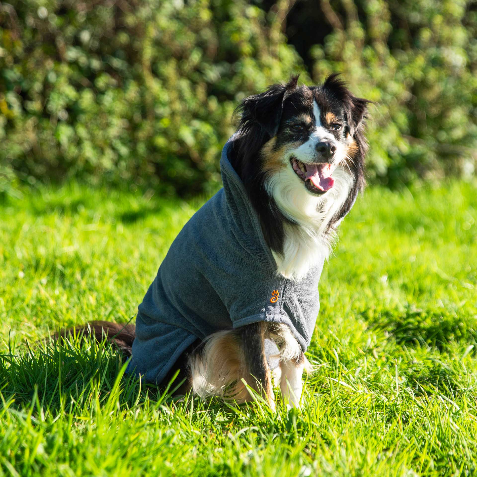 Dog Robe - variant[Grey]