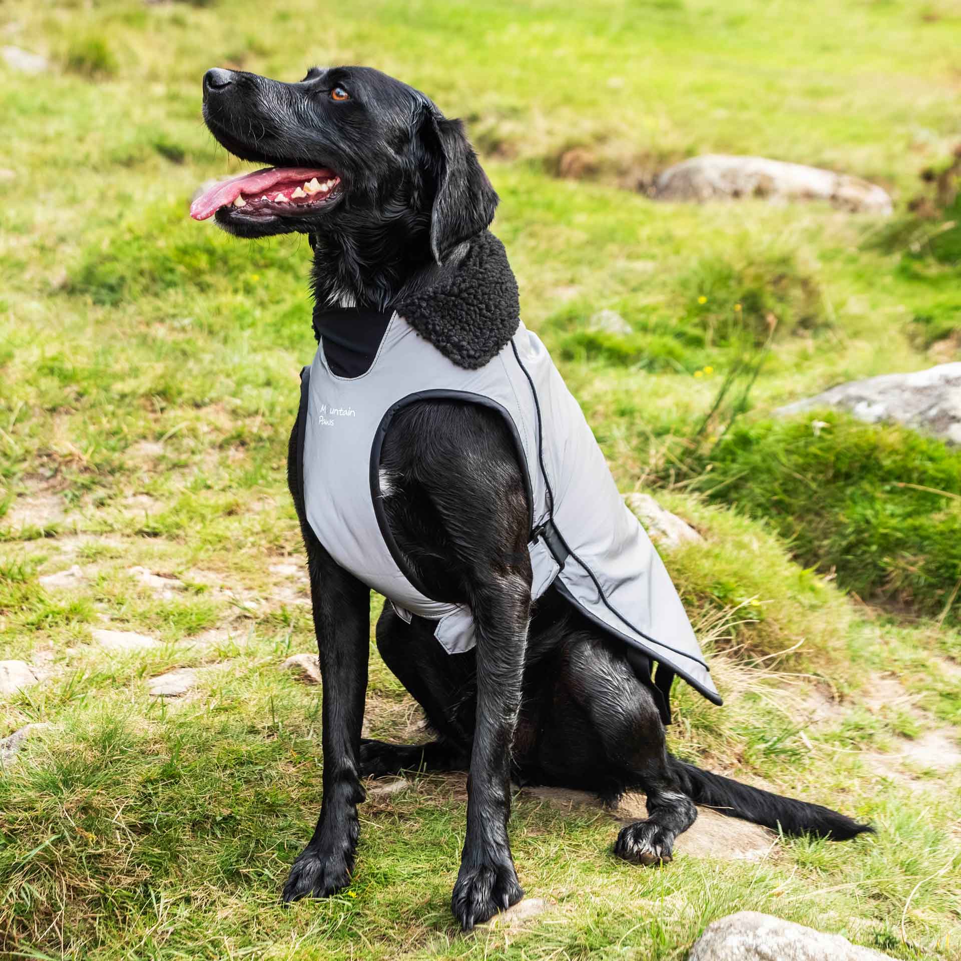 Fleece Lined Dog Coat - variant[Reflective]