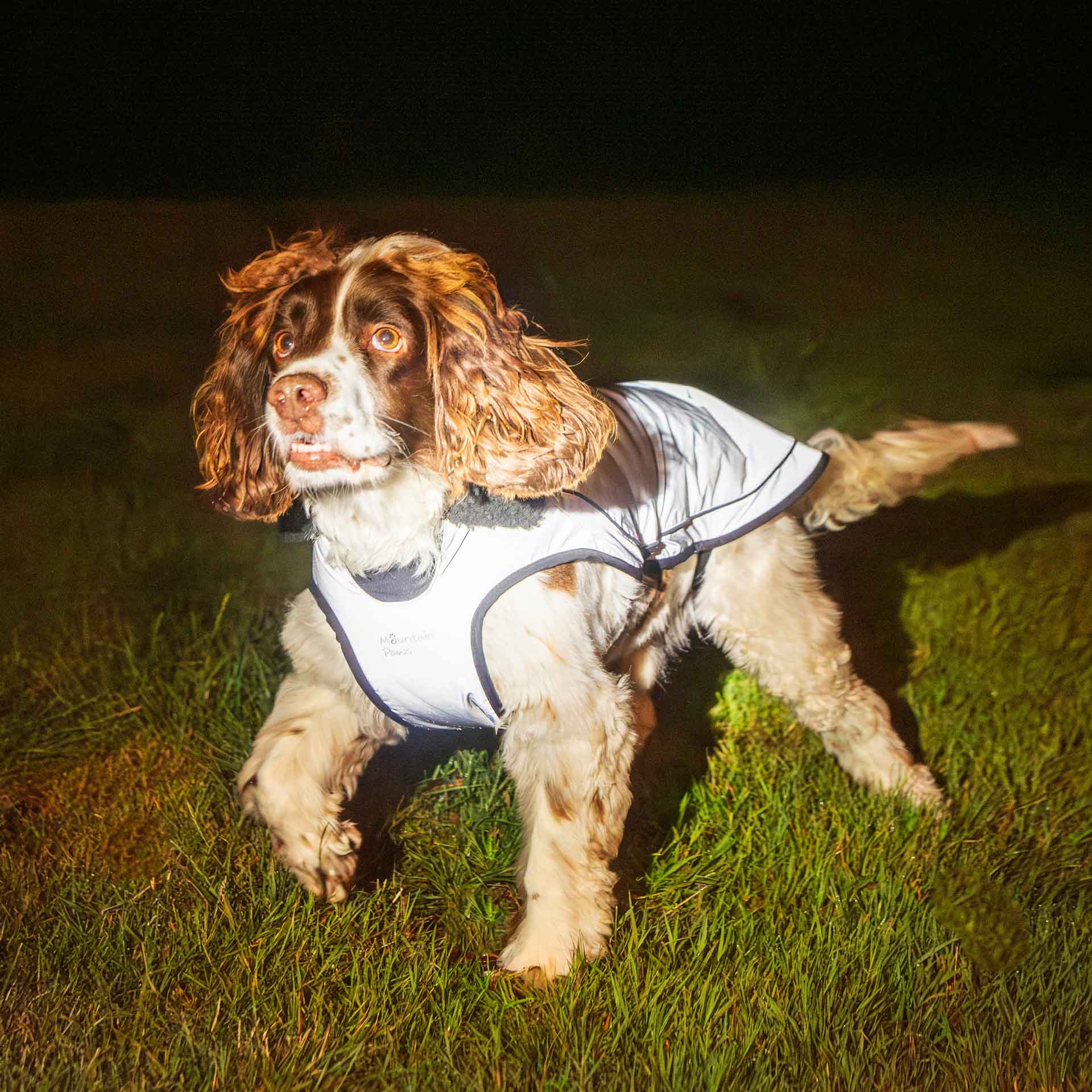 Fleece Lined Dog Coat - variant[Reflective]