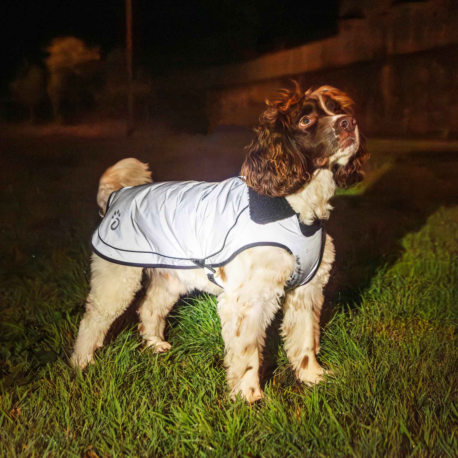 Fleece Lined Dog Coat - variant[Reflective]