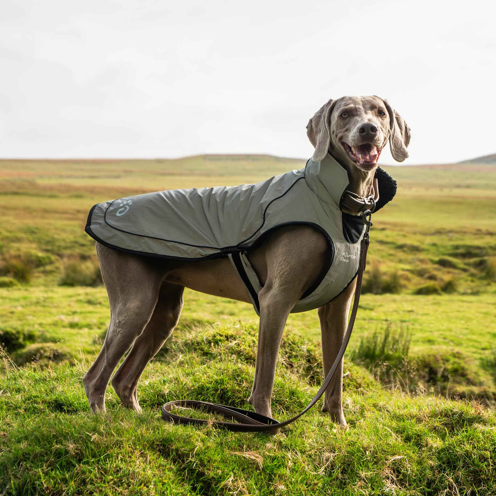 Fleece Lined Dog Coat - variant[Reflective]