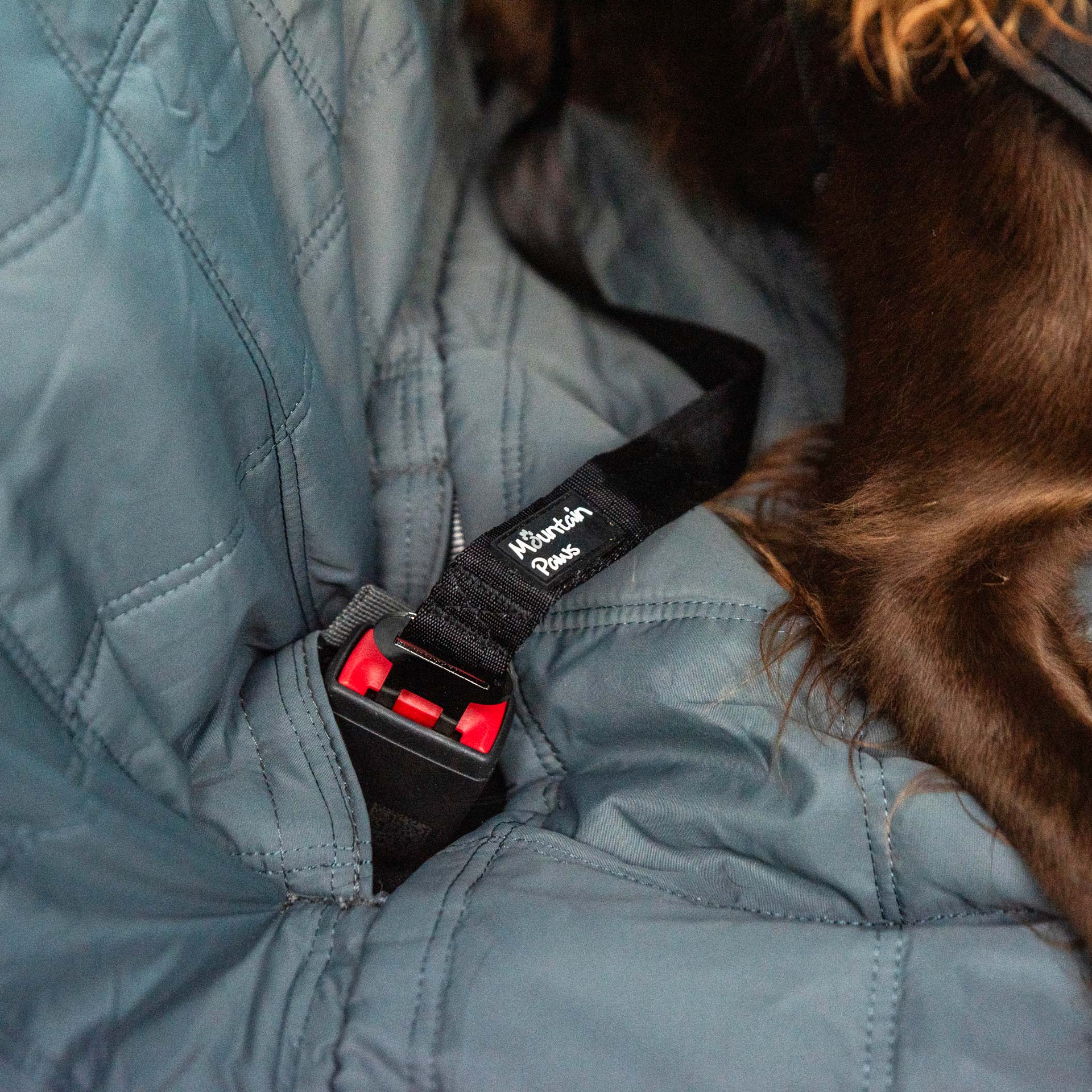 Dog Car Back Seat Cover