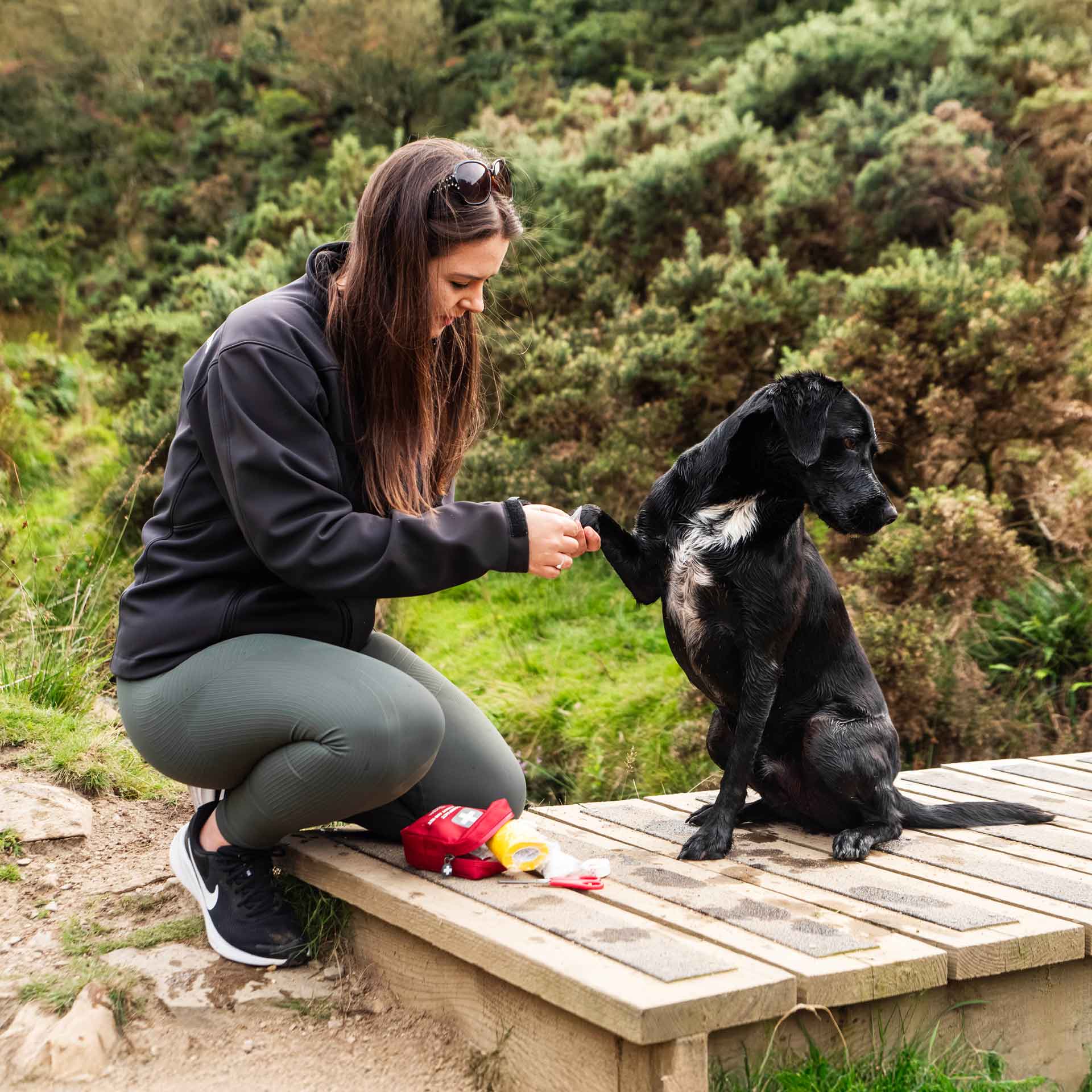 Compact Dog First Aid Kit
