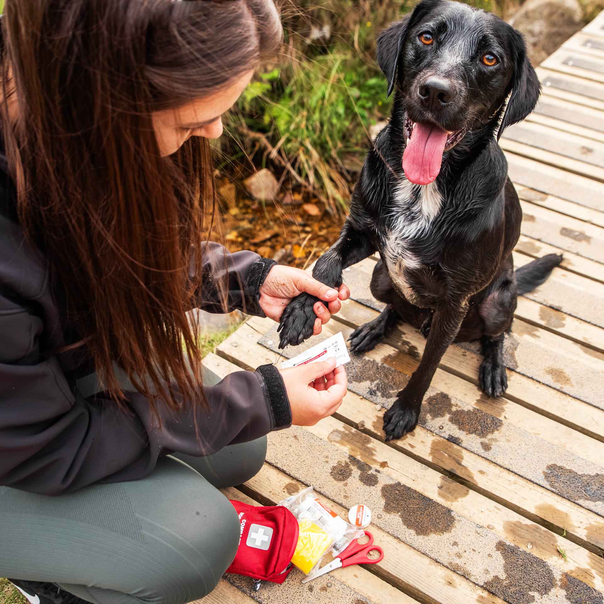 Compact Dog First Aid Kit