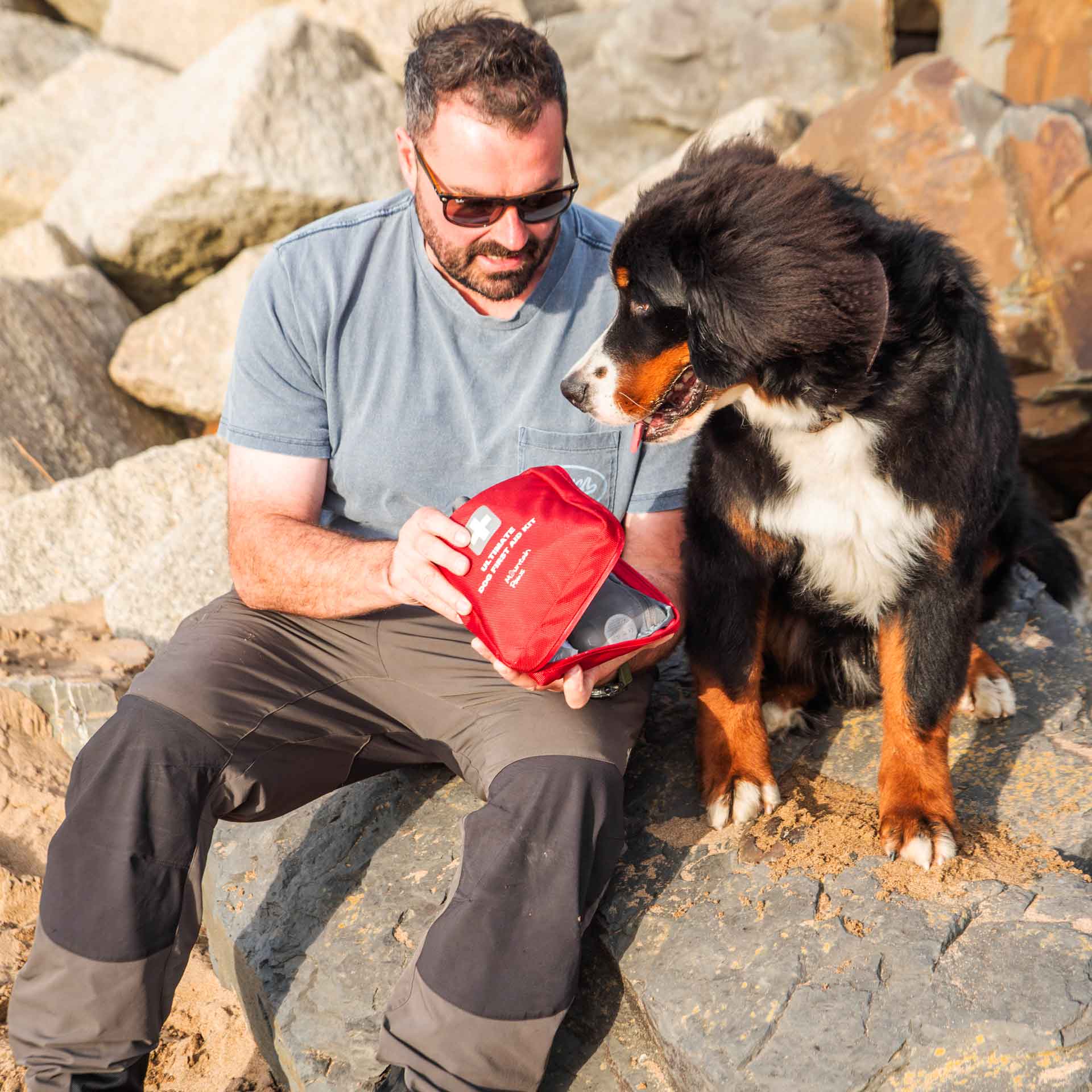 Ultimate Dog First Aid Kit