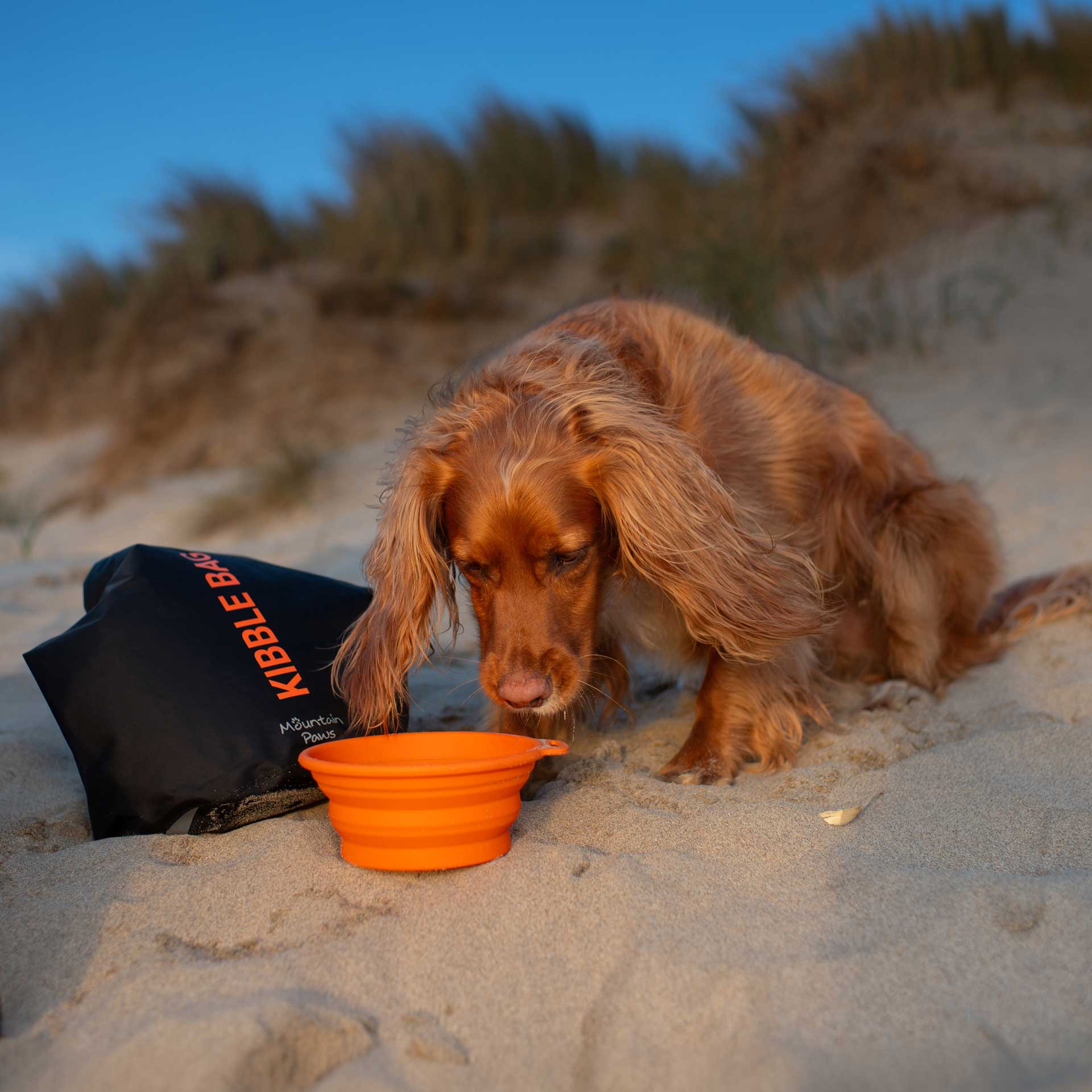 Kibble Bag