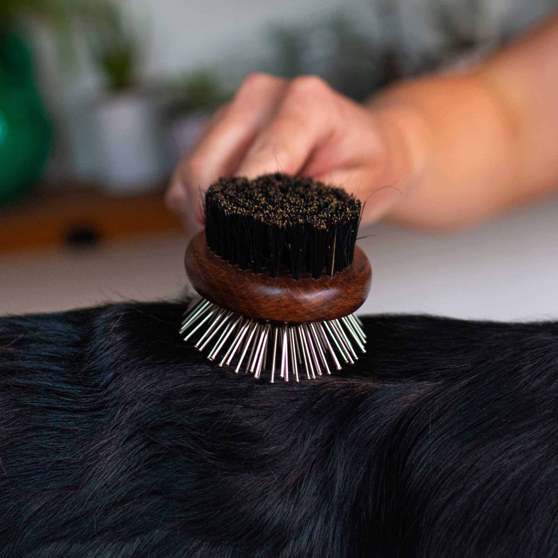Double Sided Dog Brush