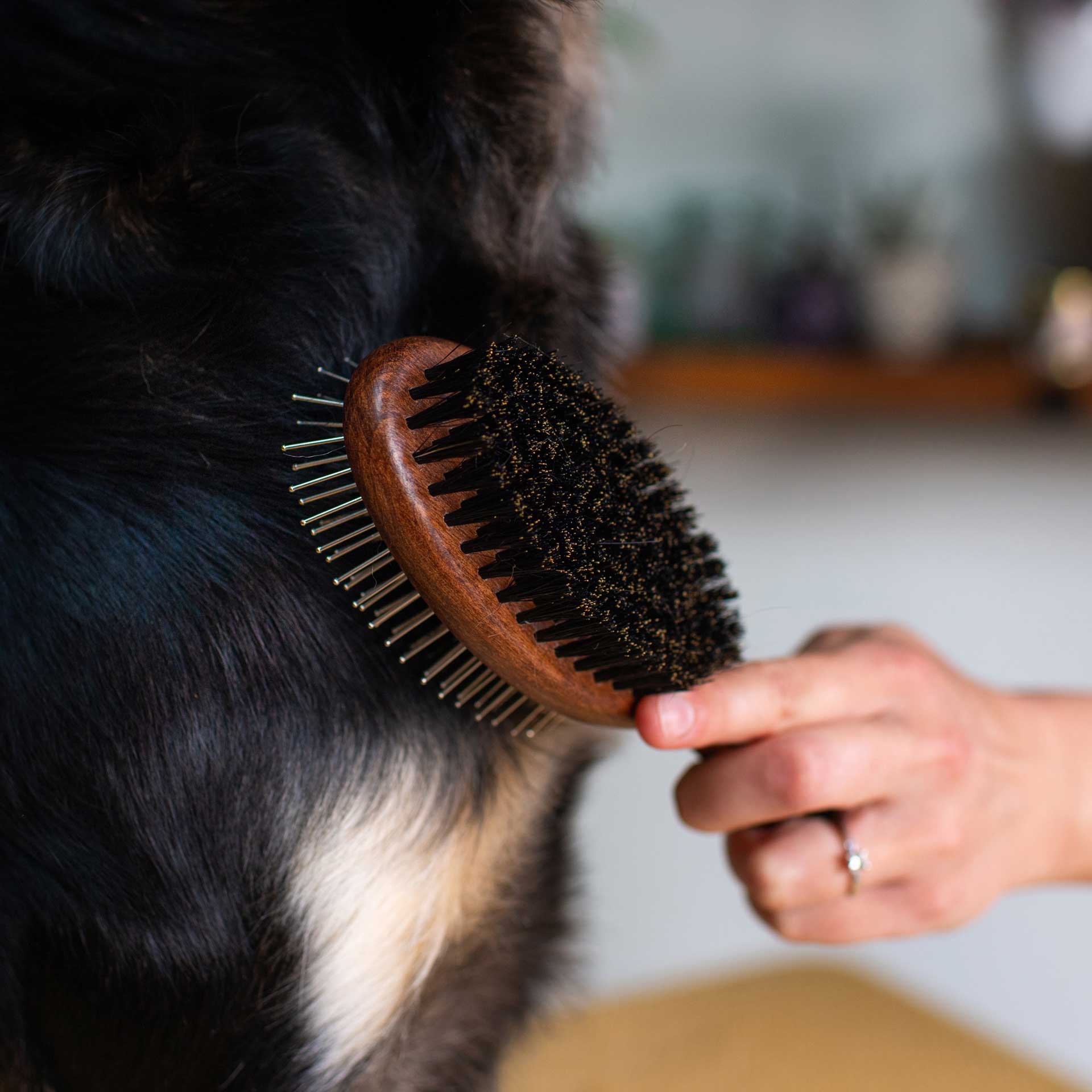 Double Sided Dog Brush