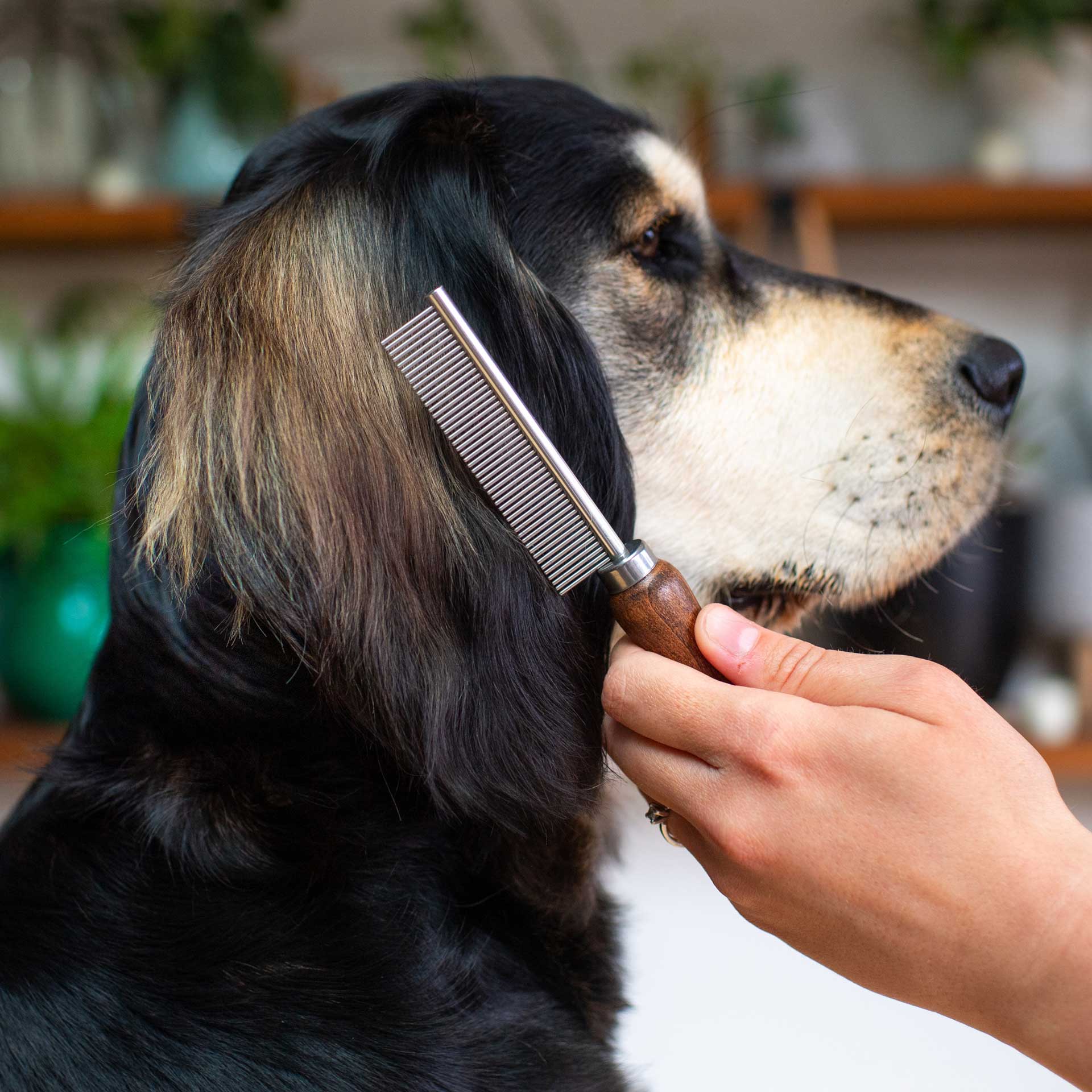 Metal Grooming Comb