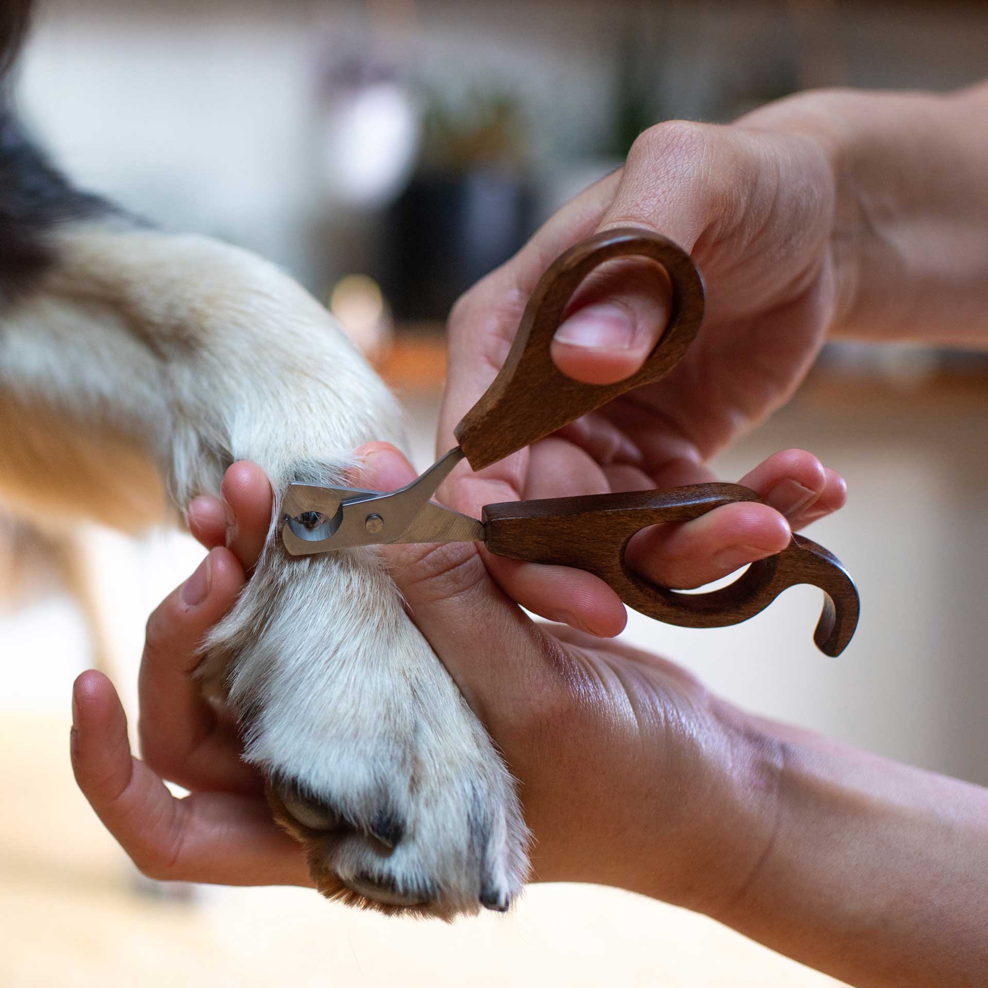 Dog Nail Clippers