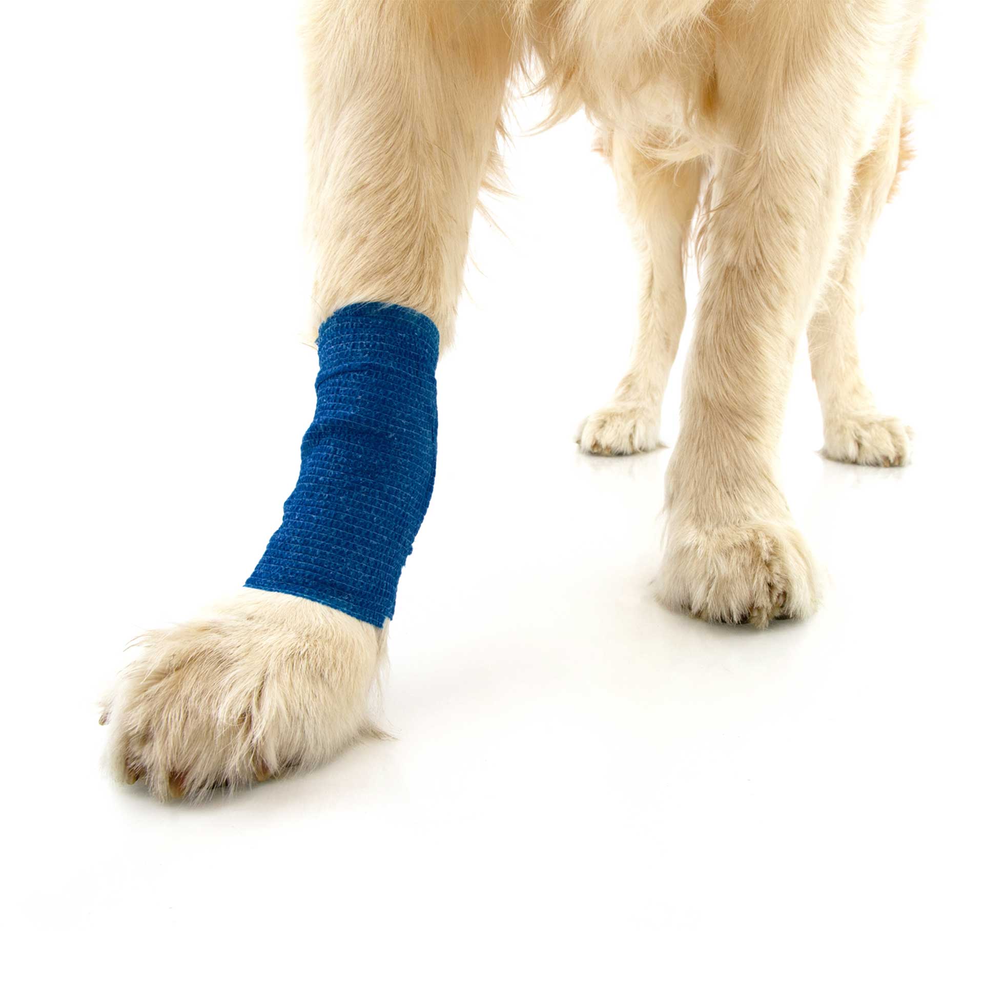 Dog Bandage - variant[Blue,4.5cm x 4m]