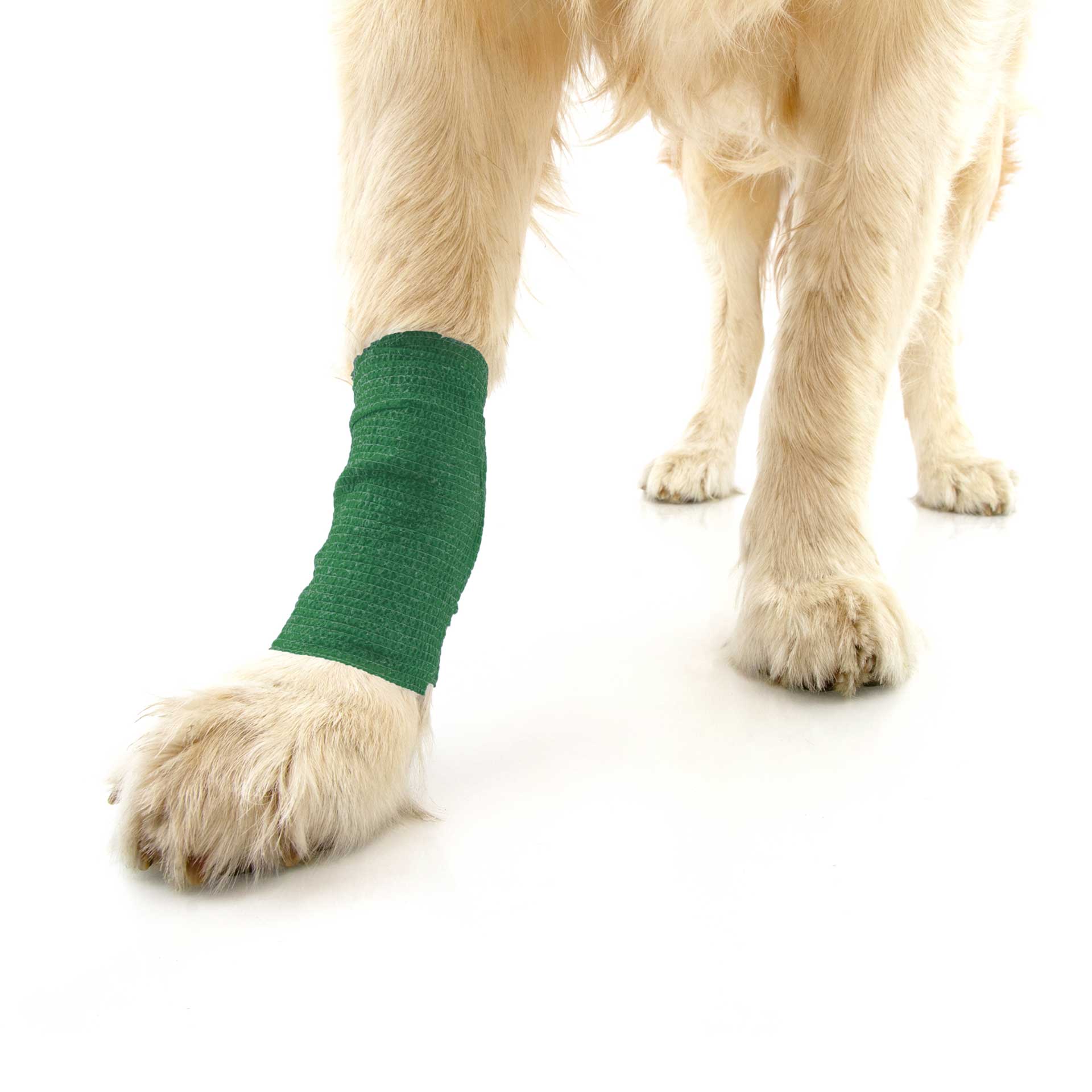 Dog Bandage - variant[Green,7.5cm x 4m]