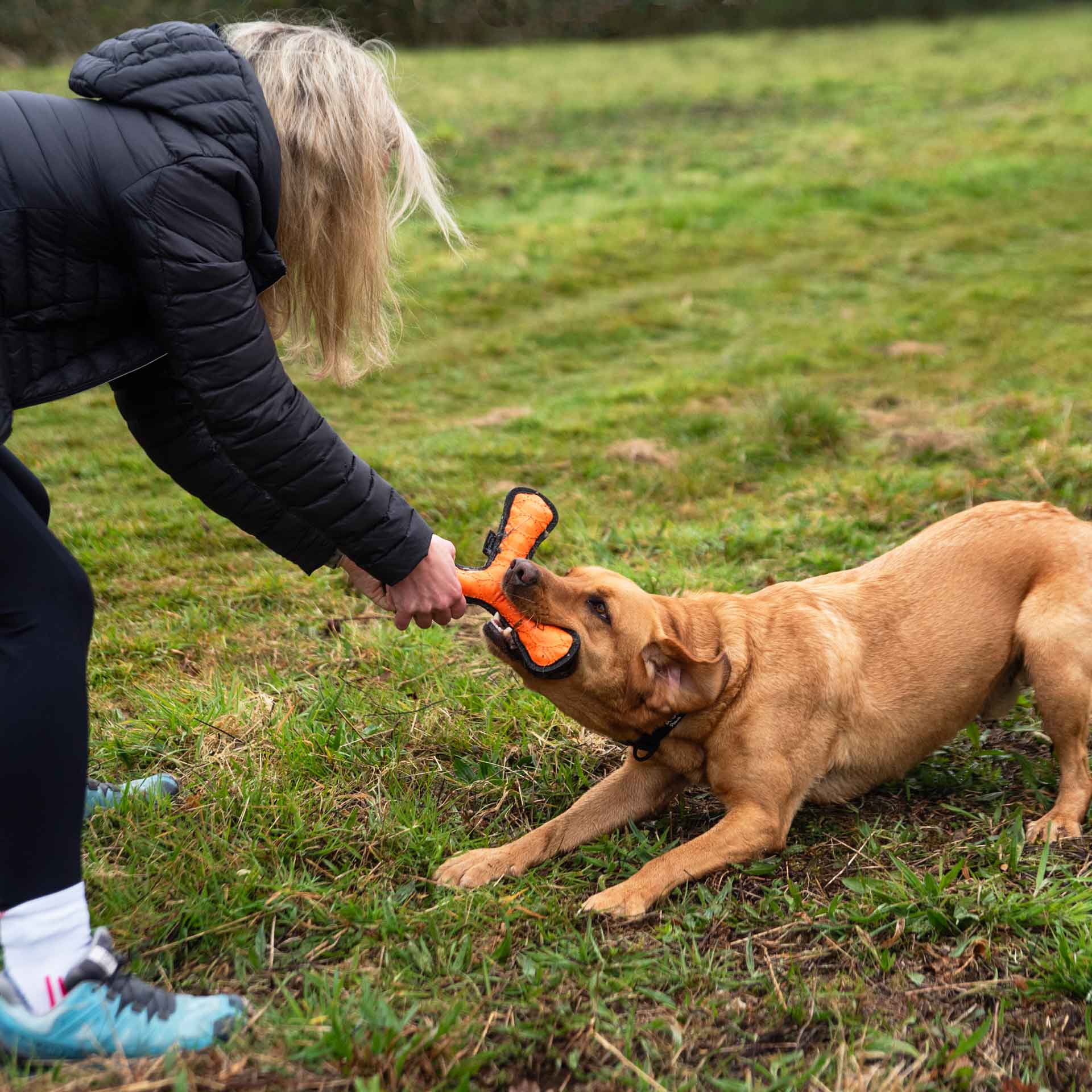 Rubber Throw Dog Toy - variant[Orange]
