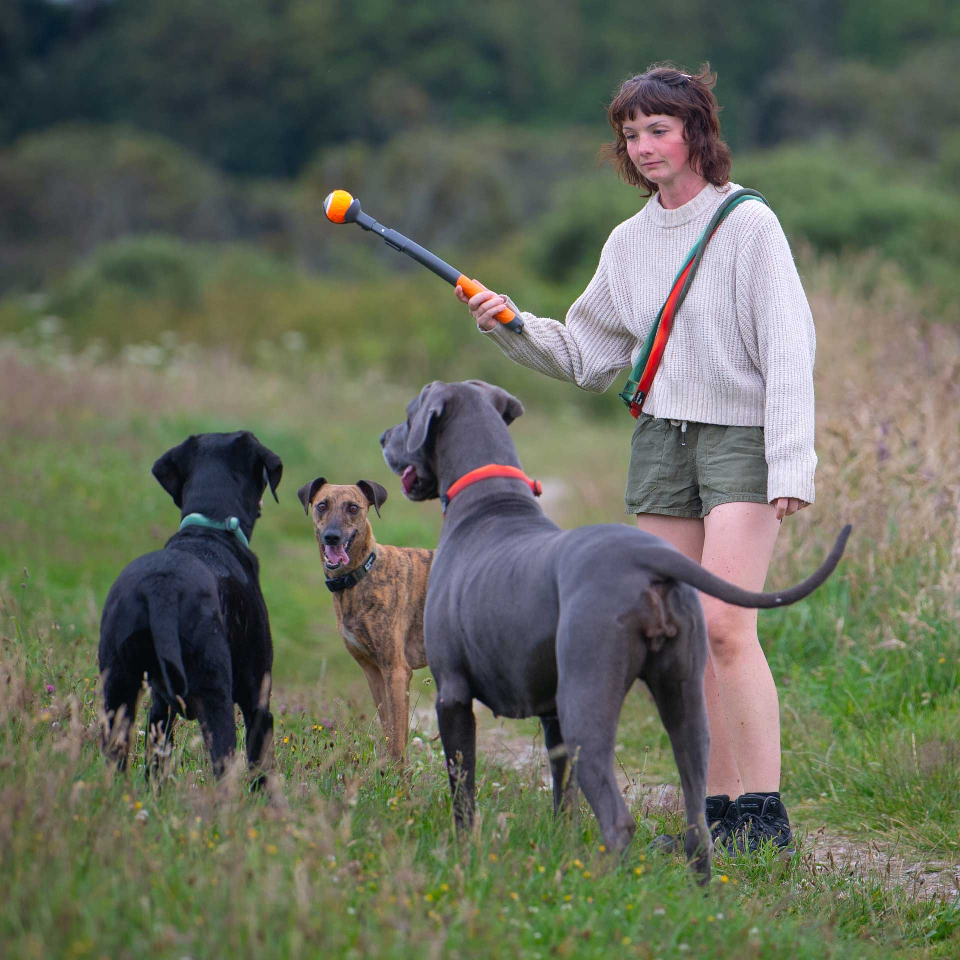 Dog Ball Thrower