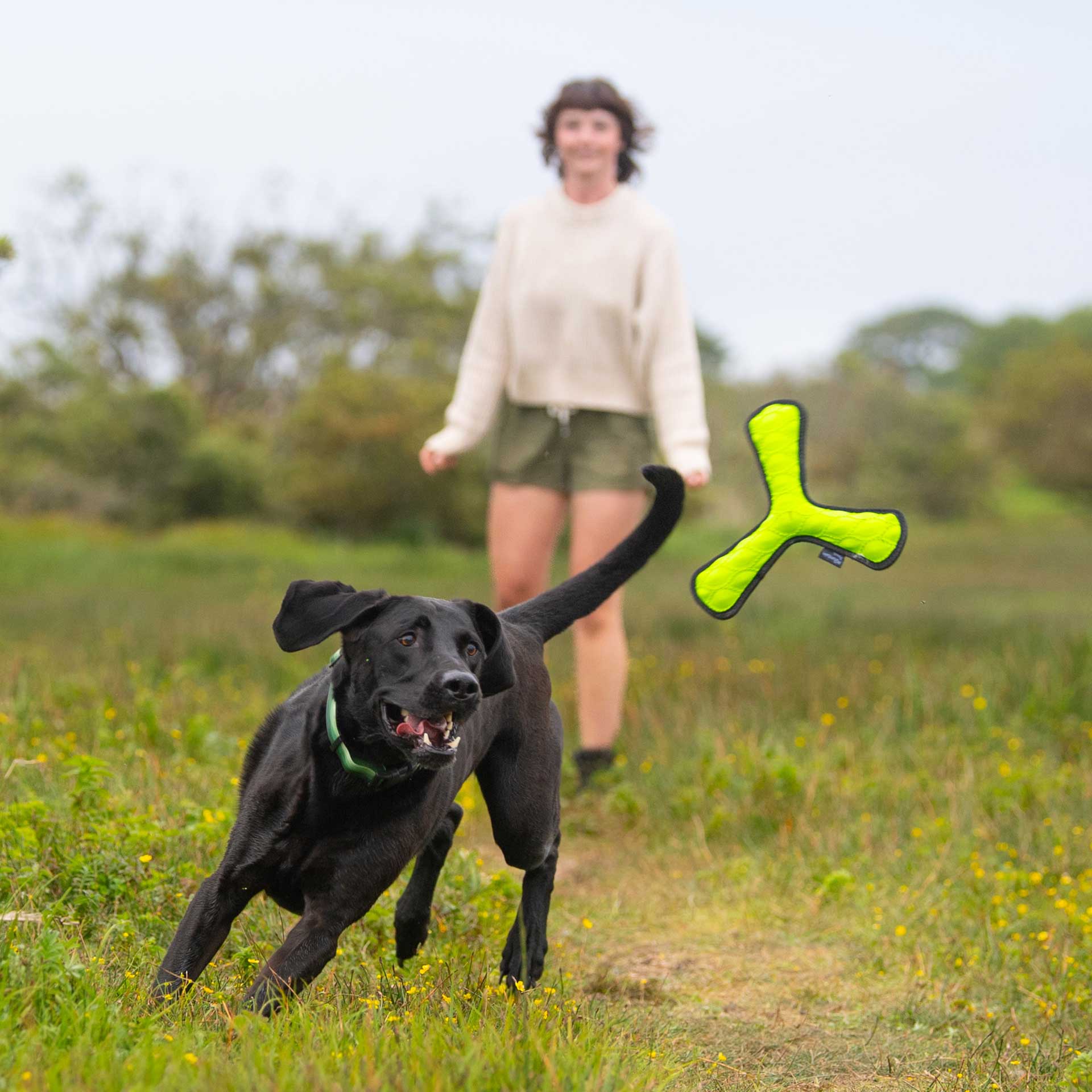 Rubber Throw Dog Toy - variant[Green]
