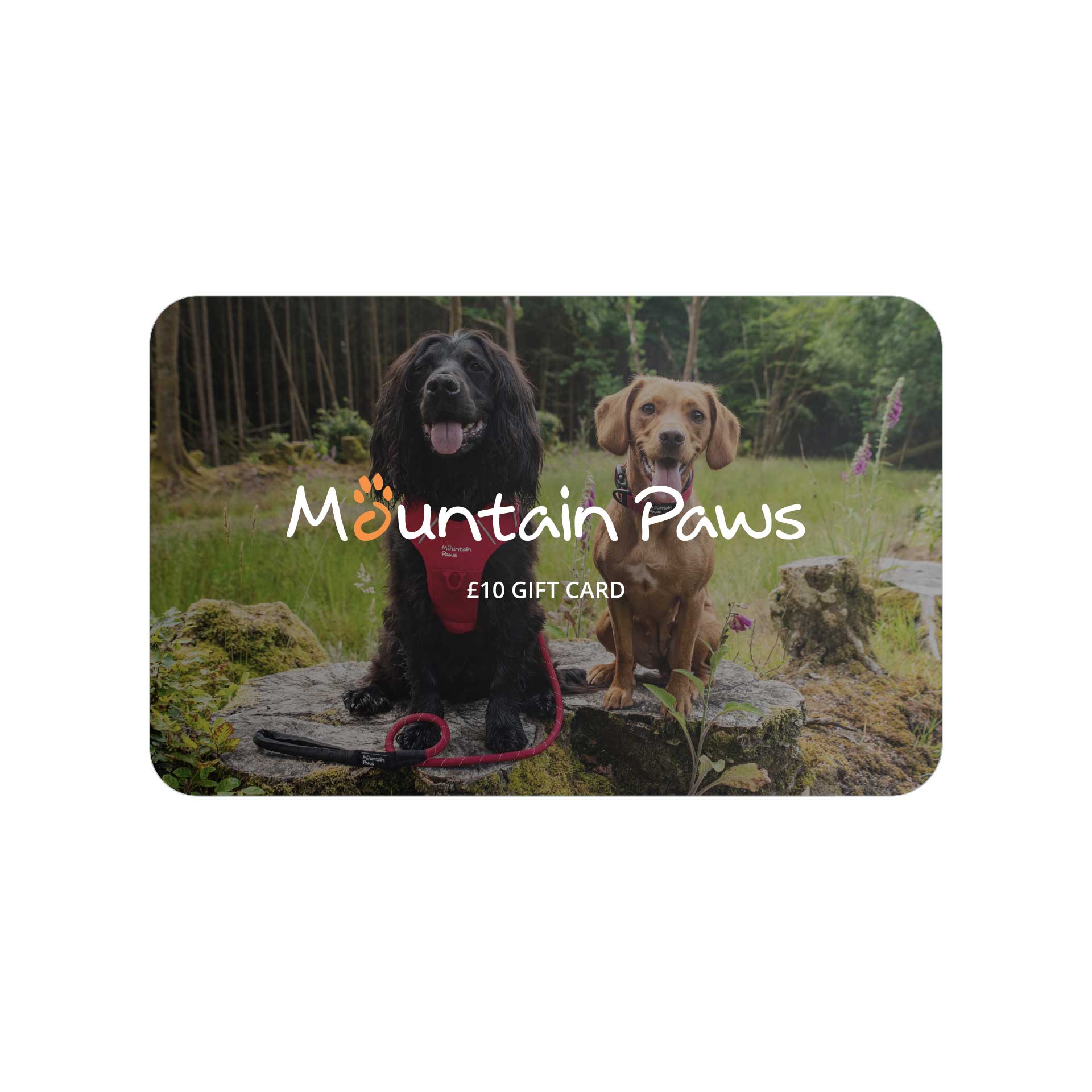 Mountain Paws Gift Card - variant[£10]