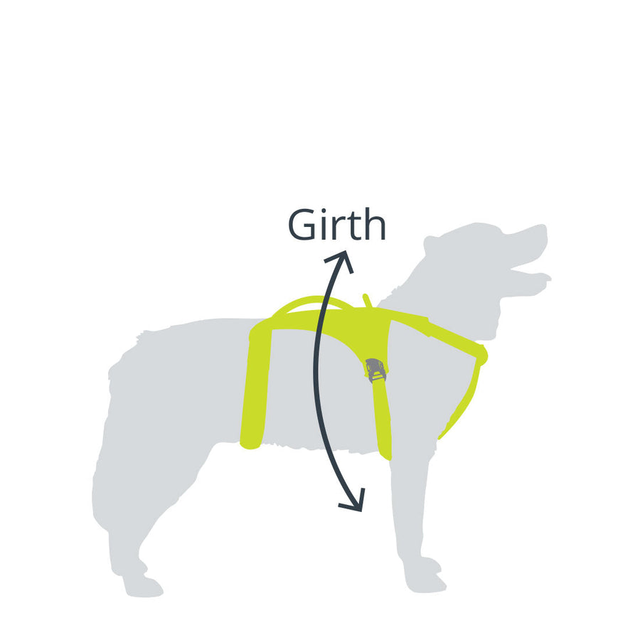 Dog Hiking Harness Hiking Dog Harness Mountain Paws